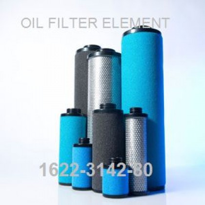 1622314280 GA30 PLUS Oil Filter Element